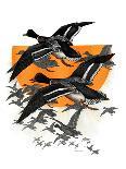 Flock of Geese-Charles Bull-Giclee Print