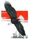 "Soaring Eagle,"March 22, 1924-Charles Bull-Giclee Print