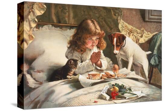 Stretched Canvas Print, , large