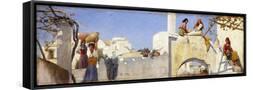 Framed Canvas