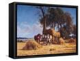 Framed Canvas