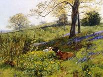 Near Dorking, Surrey, England-Charles Collins II-Stretched Canvas