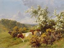 Landscape with Cattle (In the Nower, Dorking), c1899-Charles Collins-Giclee Print