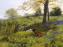 Landscape with Cattle (In the Nower, Dorking), c1899-Charles Collins-Giclee Print