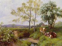 Landscape with Cattle (In the Nower, Dorking), c1899-Charles Collins-Giclee Print