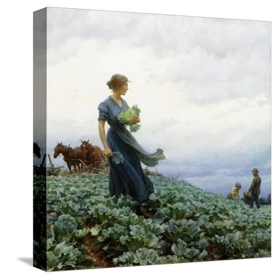 Stretched Canvas Print, , large