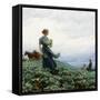 Canvas Black
