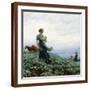 Brown Frame