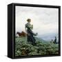 Canvas Black