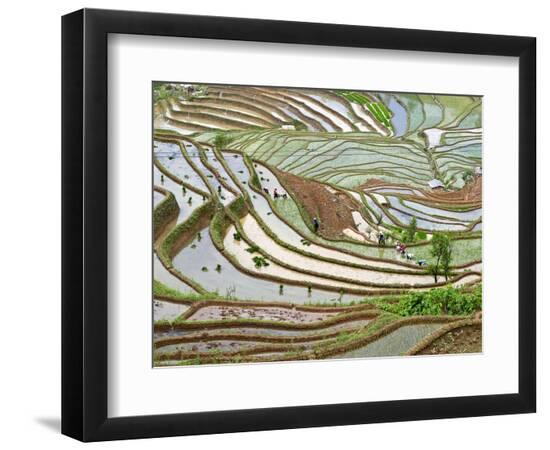 Premium Photographic Print, , large