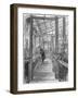 Charles Darwin (1809-188), English Naturalist, in His Greenhouse-null-Framed Giclee Print