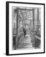 Charles Darwin (1809-188), English Naturalist, in His Greenhouse-null-Framed Giclee Print