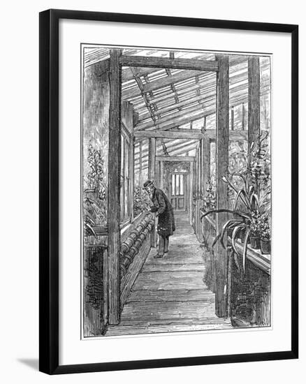 Charles Darwin (1809-188), English Naturalist, in His Greenhouse-null-Framed Giclee Print