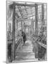 Charles Darwin (1809-188), English Naturalist, in His Greenhouse-null-Mounted Giclee Print
