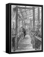 Charles Darwin (1809-188), English Naturalist, in His Greenhouse-null-Framed Stretched Canvas