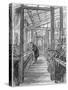 Charles Darwin (1809-188), English Naturalist, in His Greenhouse-null-Stretched Canvas