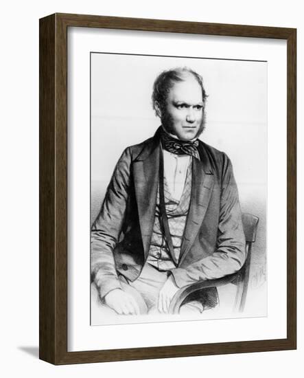 Charles Darwin, 1849 (Litho)-Thomas Herbert Maguire-Framed Giclee Print