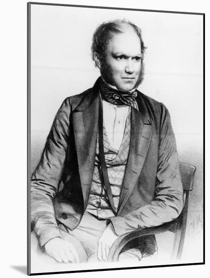 Charles Darwin, 1849 (Litho)-Thomas Herbert Maguire-Mounted Giclee Print