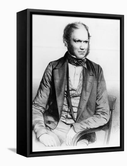 Charles Darwin, 1849 (Litho)-Thomas Herbert Maguire-Framed Stretched Canvas