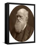 Charles Darwin, 1878-Lock & Whitfield-Framed Stretched Canvas