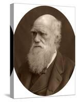 Charles Darwin, 1878-Lock & Whitfield-Stretched Canvas