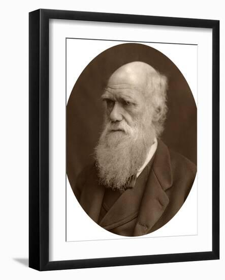 Charles Darwin, 1878-Lock & Whitfield-Framed Premium Photographic Print