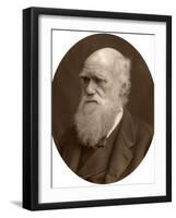 Charles Darwin, 1878-Lock & Whitfield-Framed Photographic Print