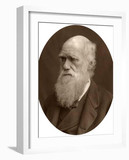 Charles Darwin, 1878-Lock & Whitfield-Framed Photographic Print