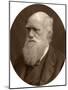 Charles Darwin, 1878-Lock & Whitfield-Mounted Photographic Print