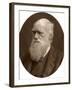 Charles Darwin, 1878-Lock & Whitfield-Framed Photographic Print