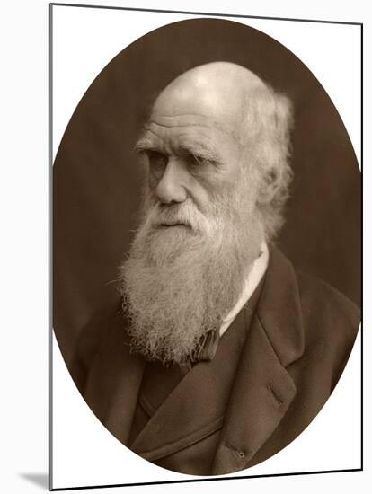 Charles Darwin, 1878-Lock & Whitfield-Mounted Photographic Print