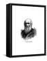 Charles Darwin, 19th Century British Naturalist-null-Framed Stretched Canvas