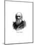 Charles Darwin, 19th Century British Naturalist-null-Mounted Giclee Print