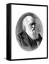 Charles Darwin, 19th Century English Naturalist-Elliott & Fry-Framed Stretched Canvas