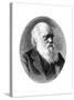 Charles Darwin, 19th Century English Naturalist-Elliott & Fry-Stretched Canvas