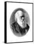 Charles Darwin, 19th Century English Naturalist-Elliott & Fry-Framed Stretched Canvas