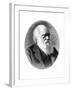 Charles Darwin, 19th Century English Naturalist-Elliott & Fry-Framed Giclee Print