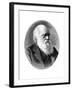 Charles Darwin, 19th Century English Naturalist-Elliott & Fry-Framed Giclee Print