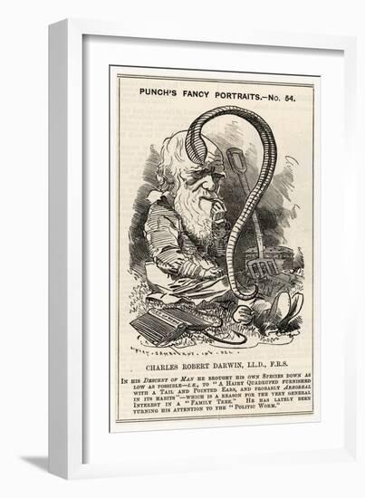 Charles Darwin, after Charting the "Descent of Man" He Goes Even Lower and Studies Worms-null-Framed Art Print