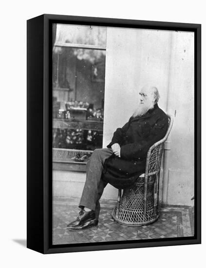 Charles Darwin (B/W Photo)-Captain L. Darwin-Framed Stretched Canvas