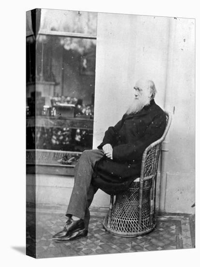 Charles Darwin (B/W Photo)-Captain L. Darwin-Stretched Canvas