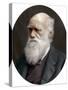 Charles Darwin, British Naturalist, 1878-Lock & Whitfield-Stretched Canvas