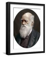 Charles Darwin, British Naturalist, 1878-Lock & Whitfield-Framed Premium Photographic Print