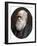 Charles Darwin, British Naturalist, 1878-Lock & Whitfield-Framed Premium Photographic Print