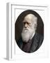 Charles Darwin, British Naturalist, 1878-Lock & Whitfield-Framed Premium Photographic Print