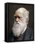 Charles Darwin, British Naturalist, 1878-Lock & Whitfield-Framed Stretched Canvas