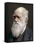 Charles Darwin, British Naturalist, 1878-Lock & Whitfield-Framed Stretched Canvas