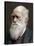 Charles Darwin, British Naturalist, 1878-Lock & Whitfield-Stretched Canvas