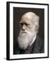 Charles Darwin, British Naturalist, 1878-Lock & Whitfield-Framed Photographic Print