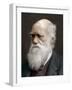 Charles Darwin, British Naturalist, 1878-Lock & Whitfield-Framed Photographic Print